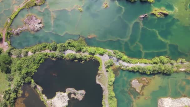 Les Collines Grenouille Penang Malaisie — Video