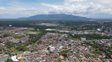 Kedah, Malezya 'nın Paddy Pirinç Tarlaları