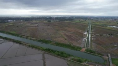 Kedah, Malezya 'nın Paddy Pirinç Tarlaları