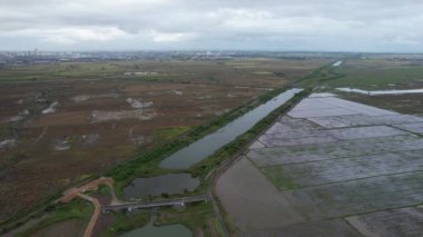 Kedah, Malezya 'nın Paddy Pirinç Tarlaları