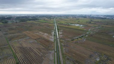 Kedah, Malezya 'nın Paddy Pirinç Tarlaları