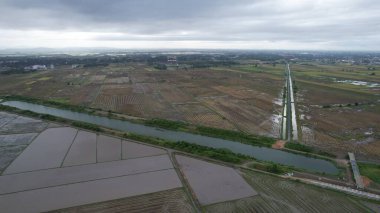 Kedah, Malezya 'nın Paddy Pirinç Tarlaları