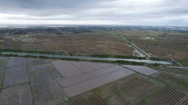 Kedah, Malezya 'nın Paddy Pirinç Tarlaları