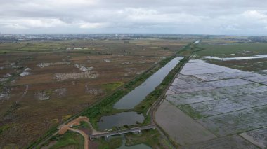 Kedah, Malezya 'nın Paddy Pirinç Tarlaları