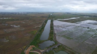 Kedah, Malezya 'nın Paddy Pirinç Tarlaları