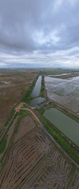 Kedah, Malezya 'nın Paddy Pirinç Tarlaları