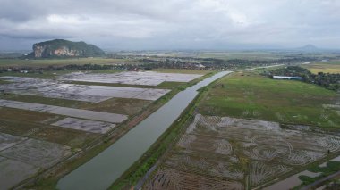 Kedah, Malezya 'nın Paddy Pirinç Tarlaları