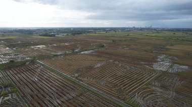 Kedah, Malezya 'nın Paddy Pirinç Tarlaları