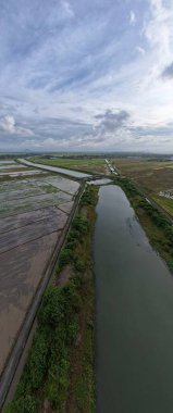 Kedah, Malezya 'nın Paddy Pirinç Tarlaları