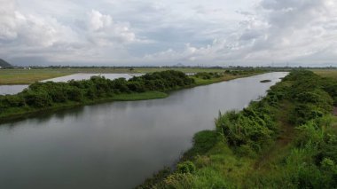 Kedah, Malezya 'nın Paddy Pirinç Tarlaları
