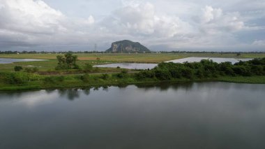 Kedah, Malezya 'nın Paddy Pirinç Tarlaları