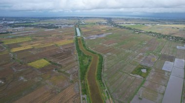 Kedah, Malezya 'nın Paddy Pirinç Tarlaları
