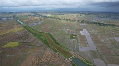 Kedah, Malezya 'nın Paddy Pirinç Tarlaları