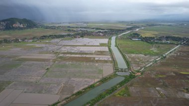Kedah, Malezya 'nın Paddy Pirinç Tarlaları