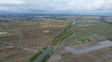 Kedah, Malezya 'nın Paddy Pirinç Tarlaları