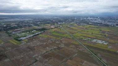 Kedah, Malezya 'nın Paddy Pirinç Tarlaları