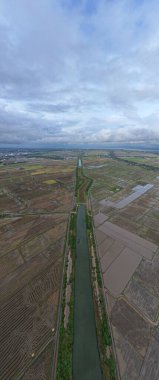 Kedah, Malezya 'nın Paddy Pirinç Tarlaları