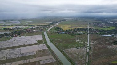 Kedah, Malezya 'nın Paddy Pirinç Tarlaları
