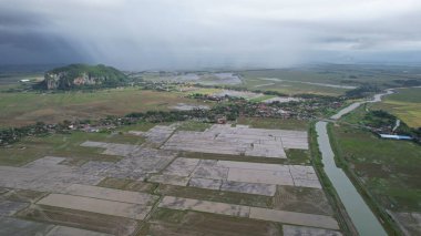 Kedah, Malezya 'nın Paddy Pirinç Tarlaları