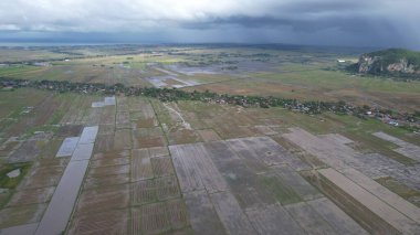 Kedah, Malezya 'nın Paddy Pirinç Tarlaları