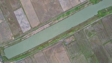 Kedah, Malezya 'nın Paddy Pirinç Tarlaları