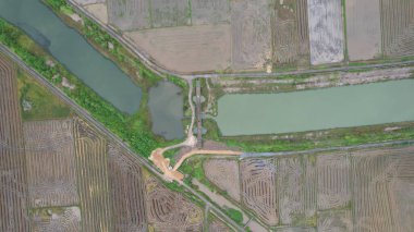 Kedah, Malezya 'nın Paddy Pirinç Tarlaları