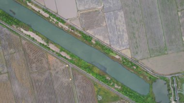 Kedah, Malezya 'nın Paddy Pirinç Tarlaları