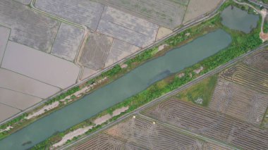 Kedah, Malezya 'nın Paddy Pirinç Tarlaları