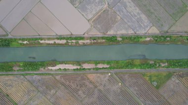 Kedah, Malezya 'nın Paddy Pirinç Tarlaları