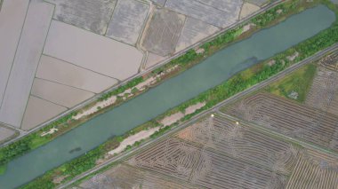 Kedah, Malezya 'nın Paddy Pirinç Tarlaları