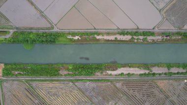 Kedah, Malezya 'nın Paddy Pirinç Tarlaları