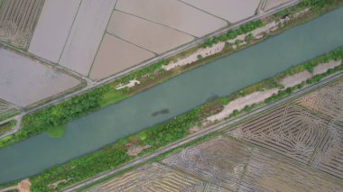 Kedah, Malezya 'nın Paddy Pirinç Tarlaları