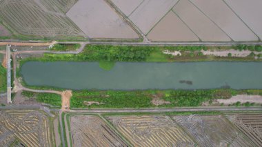 Kedah, Malezya 'nın Paddy Pirinç Tarlaları