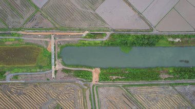 Kedah, Malezya 'nın Paddy Pirinç Tarlaları