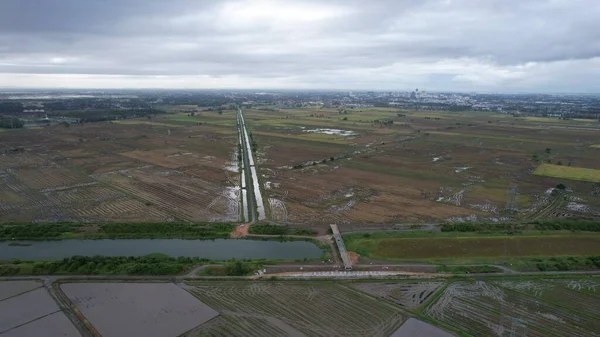 Kedah, Malezya 'nın Paddy Pirinç Tarlaları