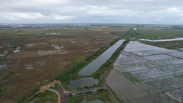 Kedah, Malezya 'nın Paddy Pirinç Tarlaları