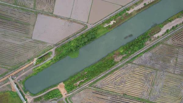 Kedah, Malezya 'nın Paddy Pirinç Tarlaları