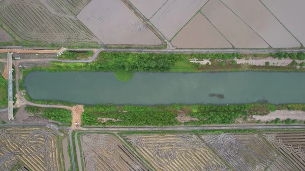 Kedah, Malezya 'nın Paddy Pirinç Tarlaları
