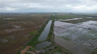 Kedah, Malezya 'nın Paddy Pirinç Tarlaları