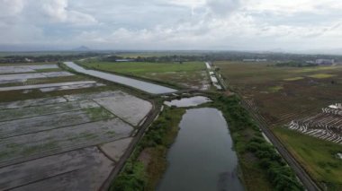 Kedah, Malezya 'nın Paddy Pirinç Tarlaları