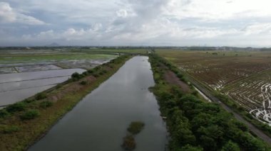 Kedah, Malezya 'nın Paddy Pirinç Tarlaları
