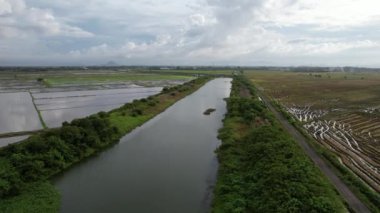 Kedah, Malezya 'nın Paddy Pirinç Tarlaları