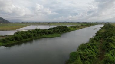Kedah, Malezya 'nın Paddy Pirinç Tarlaları