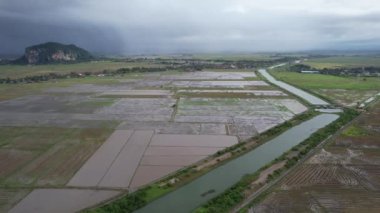 Kedah, Malezya 'nın Paddy Pirinç Tarlaları