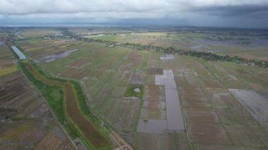 Kedah, Malezya 'nın Paddy Pirinç Tarlaları
