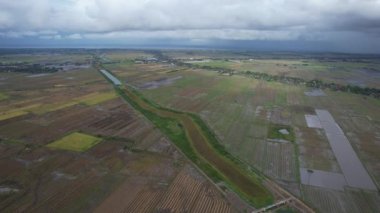 Kedah, Malezya 'nın Paddy Pirinç Tarlaları