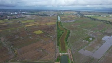 Kedah, Malezya 'nın Paddy Pirinç Tarlaları