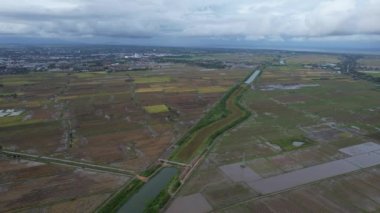 Kedah, Malezya 'nın Paddy Pirinç Tarlaları