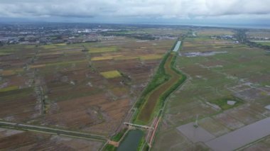 Kedah, Malezya 'nın Paddy Pirinç Tarlaları