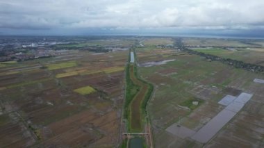 Kedah, Malezya 'nın Paddy Pirinç Tarlaları